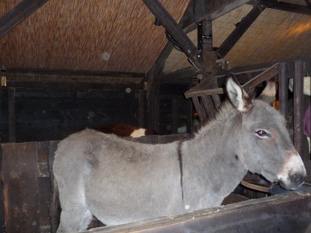 OpeningKerststal17 (18)